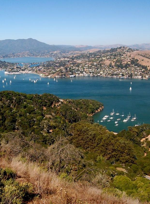 Stunning views of Tiburon and The Bay from Angel Island