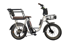 Electric Bike & Passenger