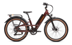 Radster Electric Bike