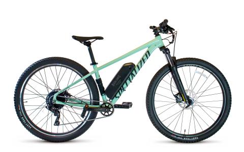 Rockhopper Electric Bike