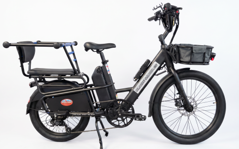 Electric Bike & Passenger