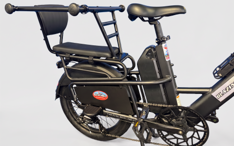Electric Bike & Passenger