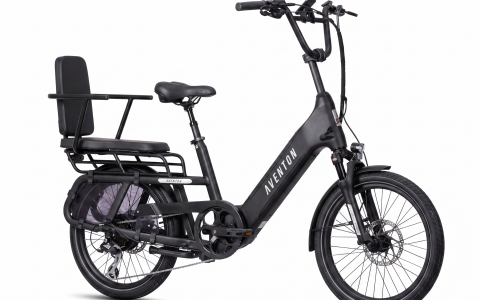 Electric Bike Plus-One