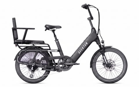 Electric Bike Plus-One