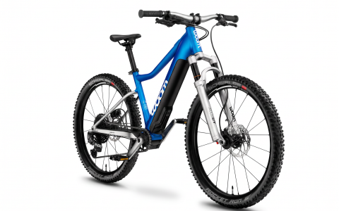 Kids Electric Bike