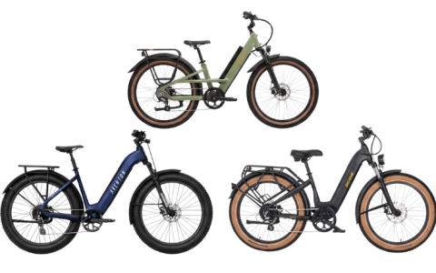 Off-Road Electric Bike