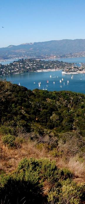 Stunning views of Tiburon and The Bay from Angel Island